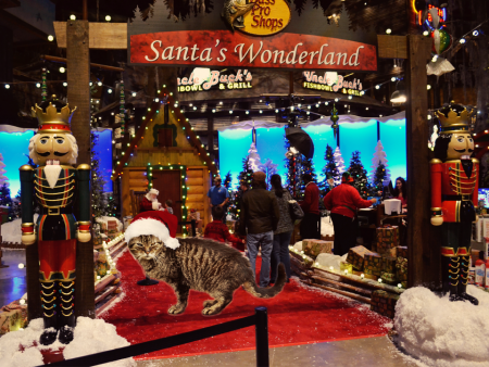 5 Ways to Have Yourself a Very Memphis Christmas | Rhodes College