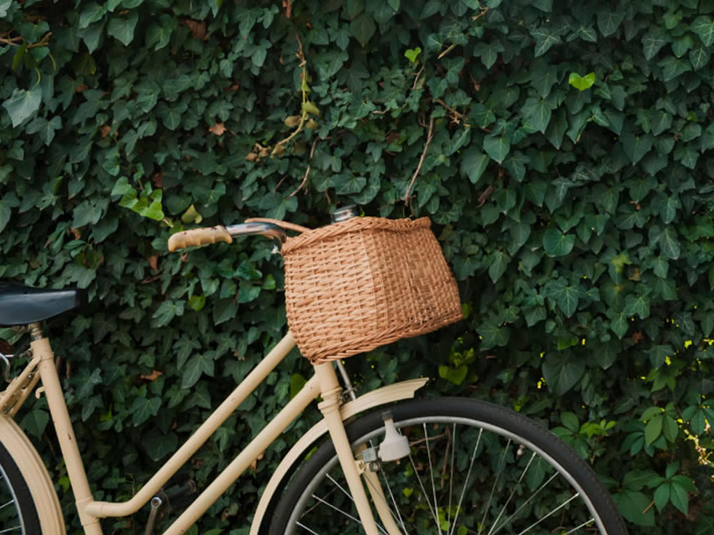 a cruiser bike with a basket on the front leaning against a wall of greenery