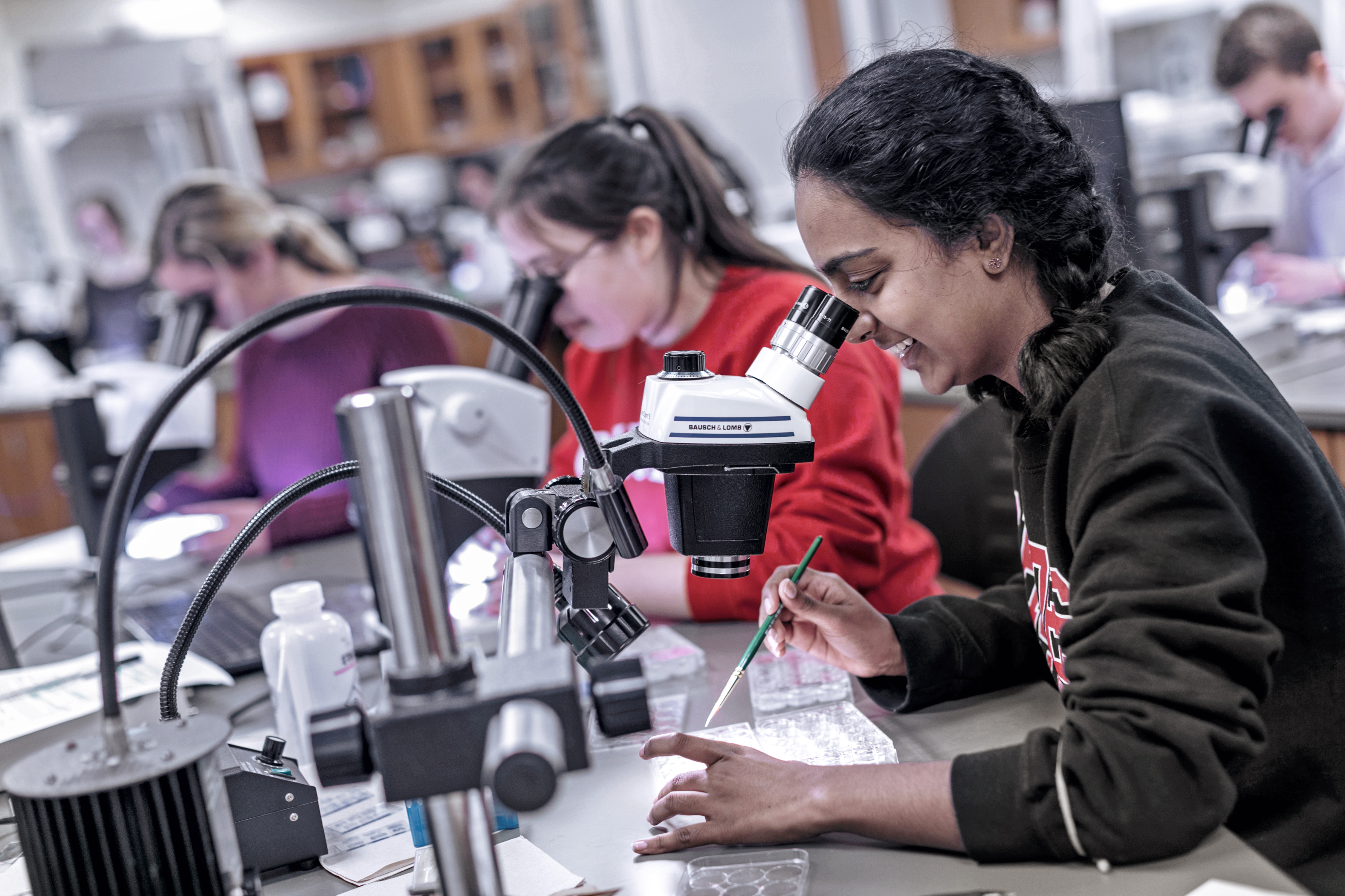 students looking through microscopes in a lab