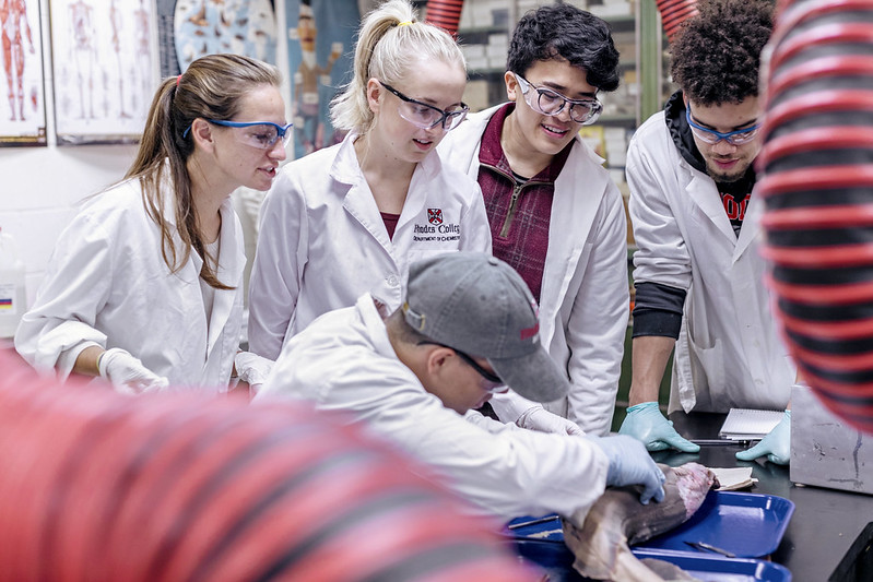 Students in a lab