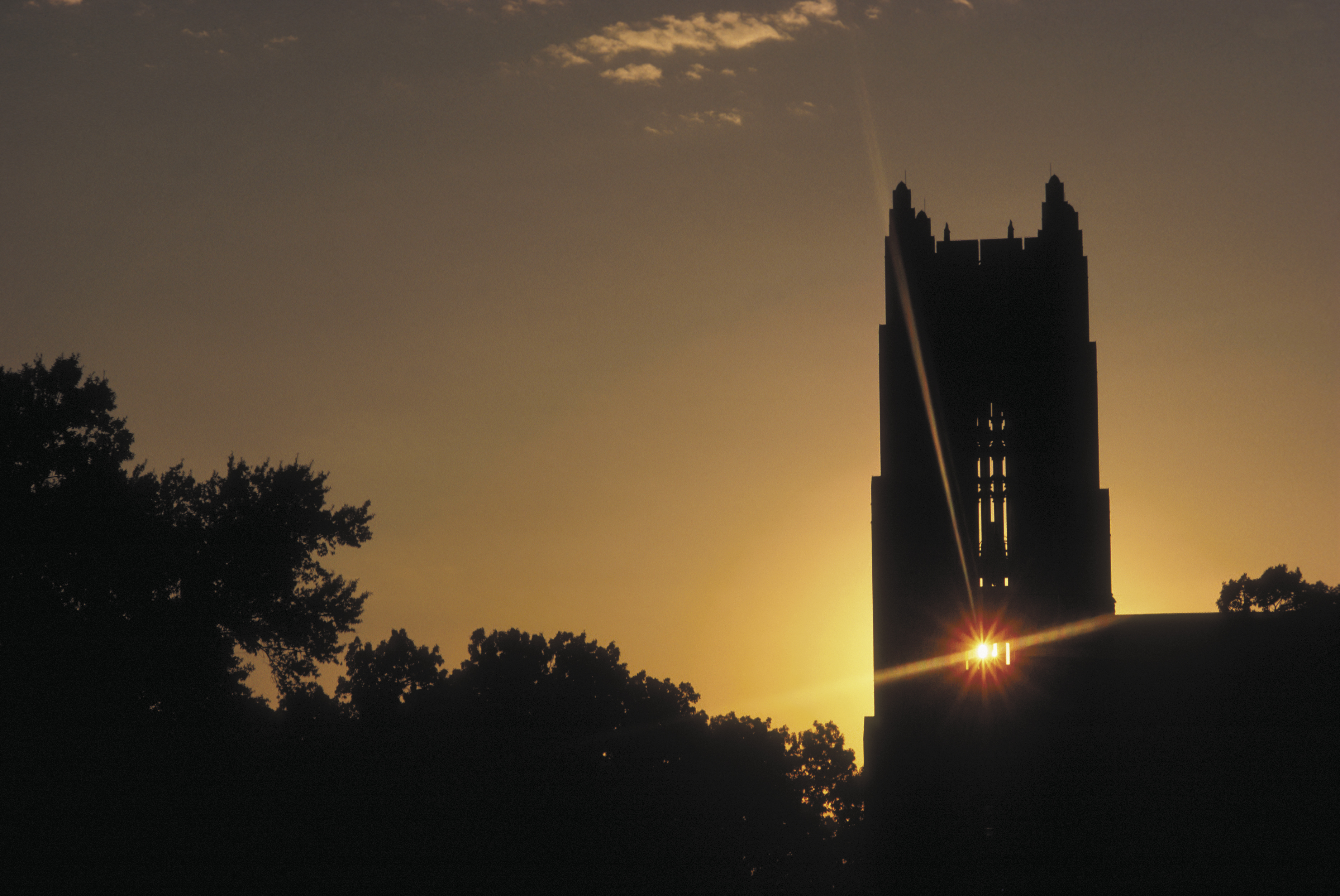 Backlit belltower above the treetops.