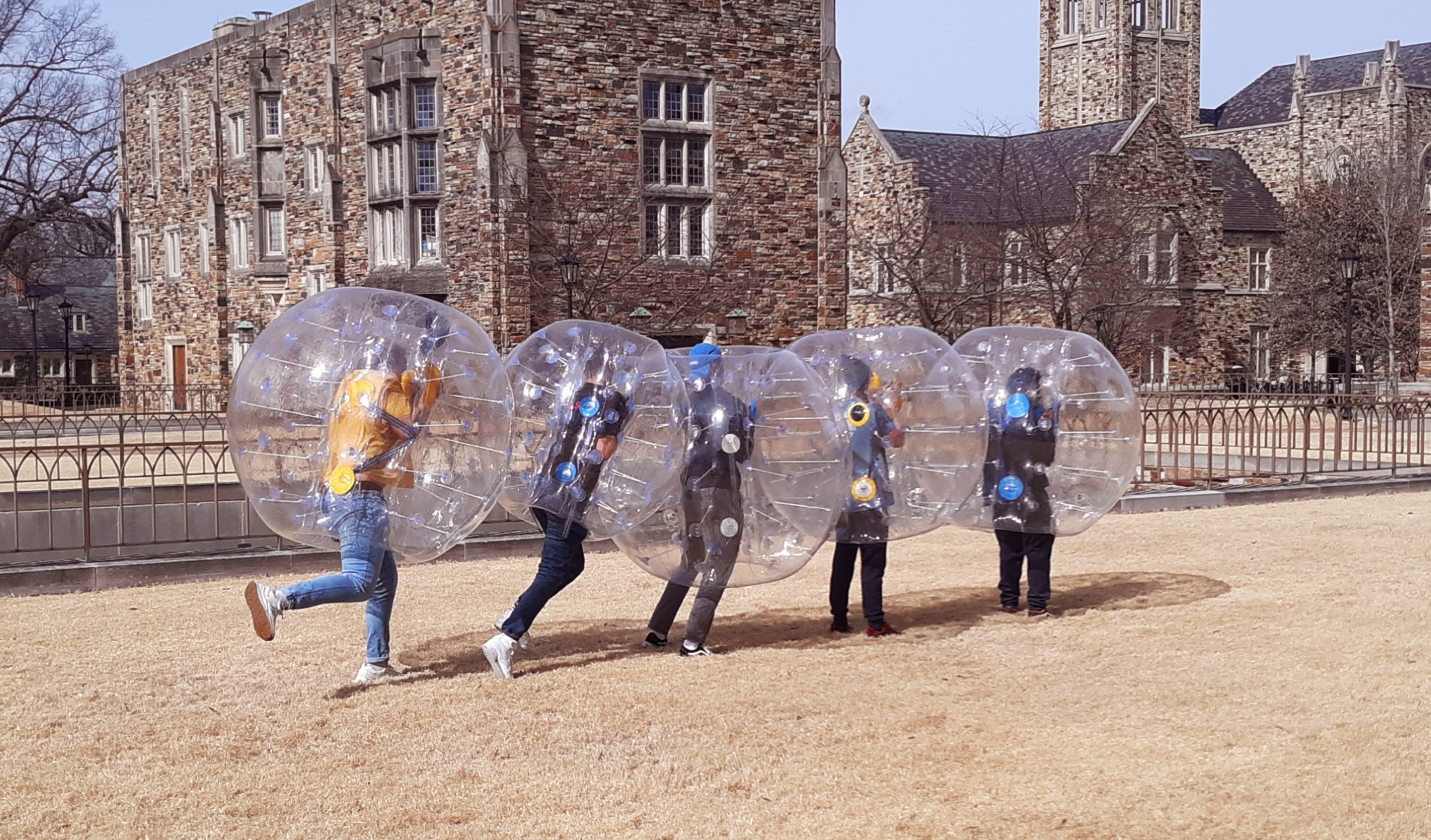 students in large plastic balls demonstrate Newton's Cradle