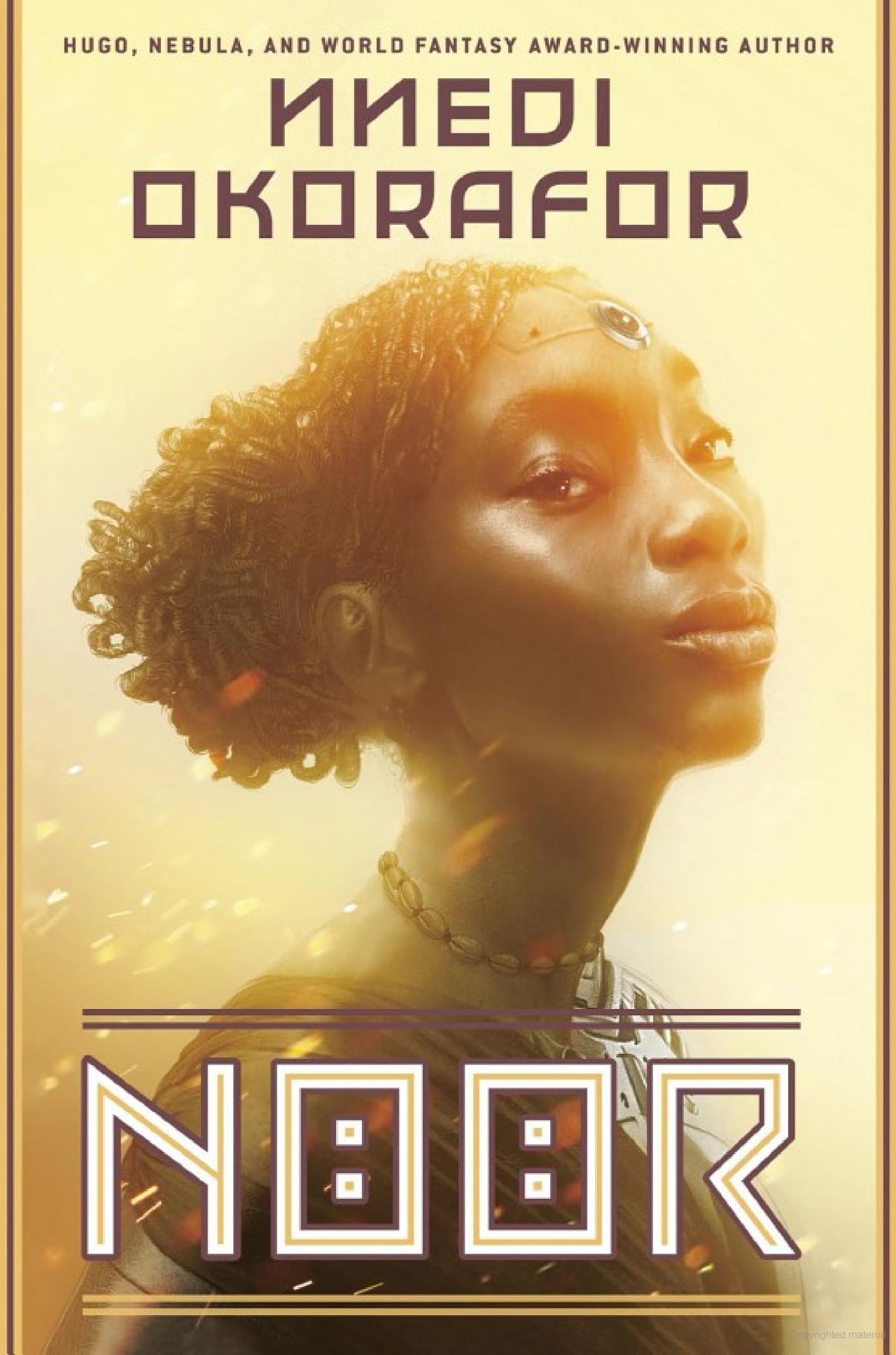 the jacket cover for Noor, a young Nigerian woman