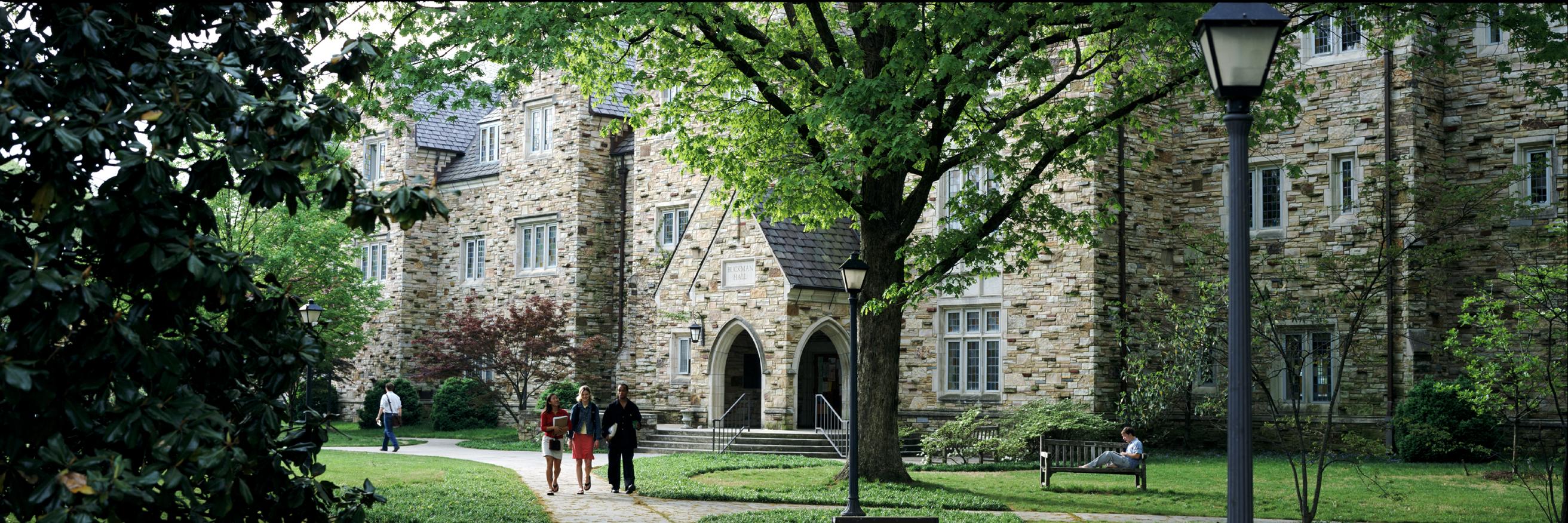 Students walking underneath the oaks.