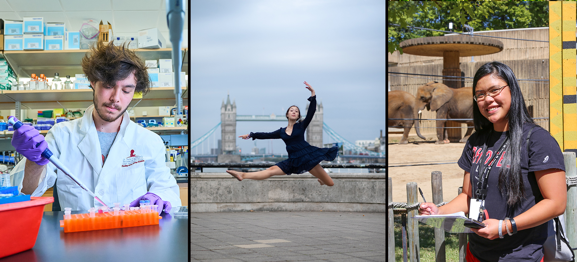 a triptych of photos showing research, a dancing figure, and a zoo internship