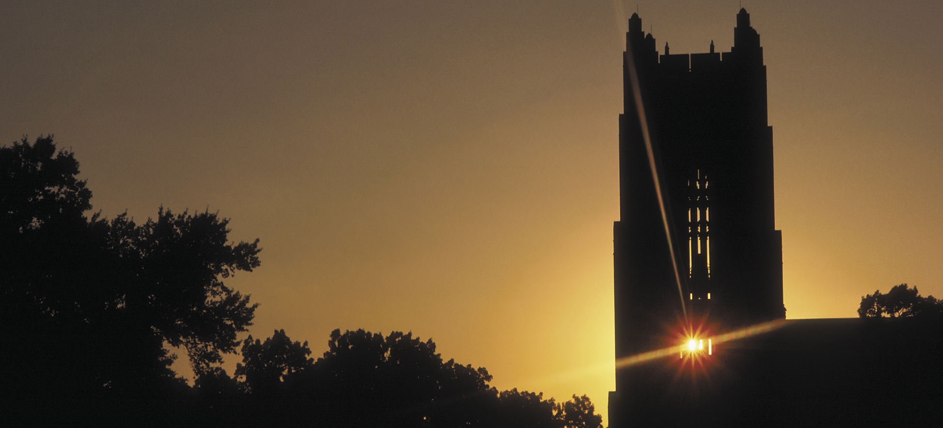 Backlit bell tower above the treetops.