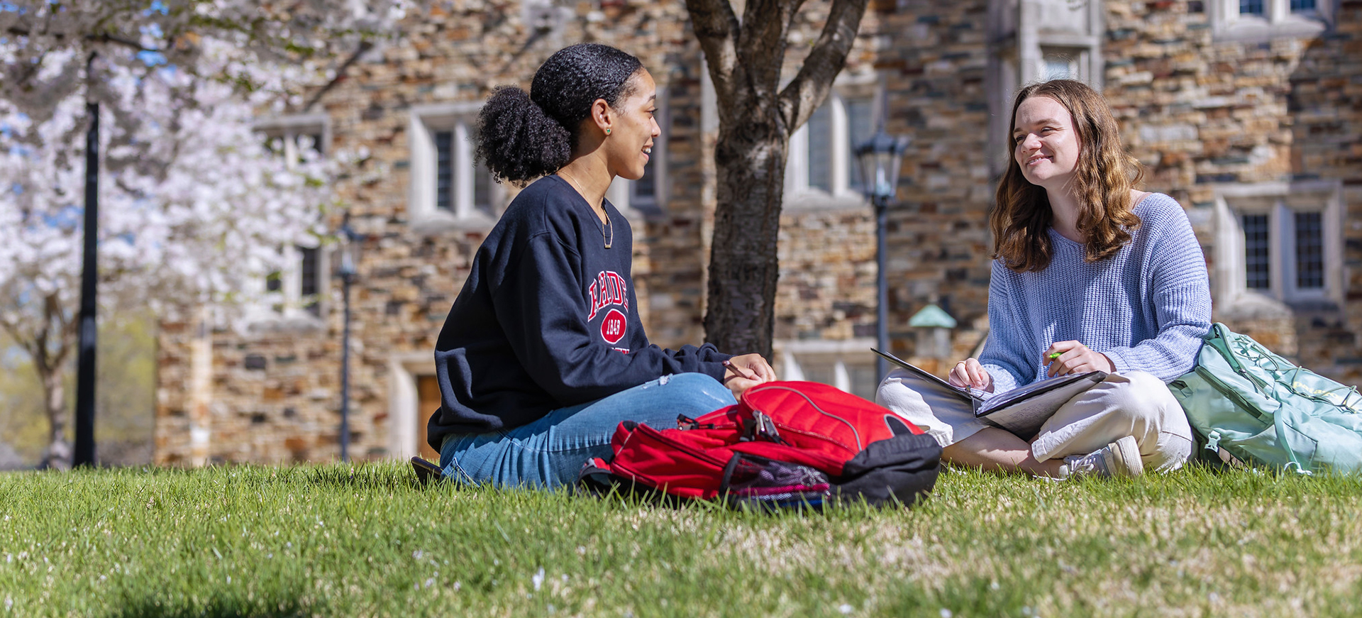 two female students sit and chat under a cherry tree