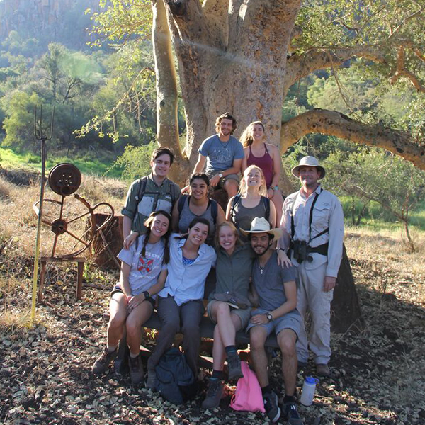 a group of students under a tree