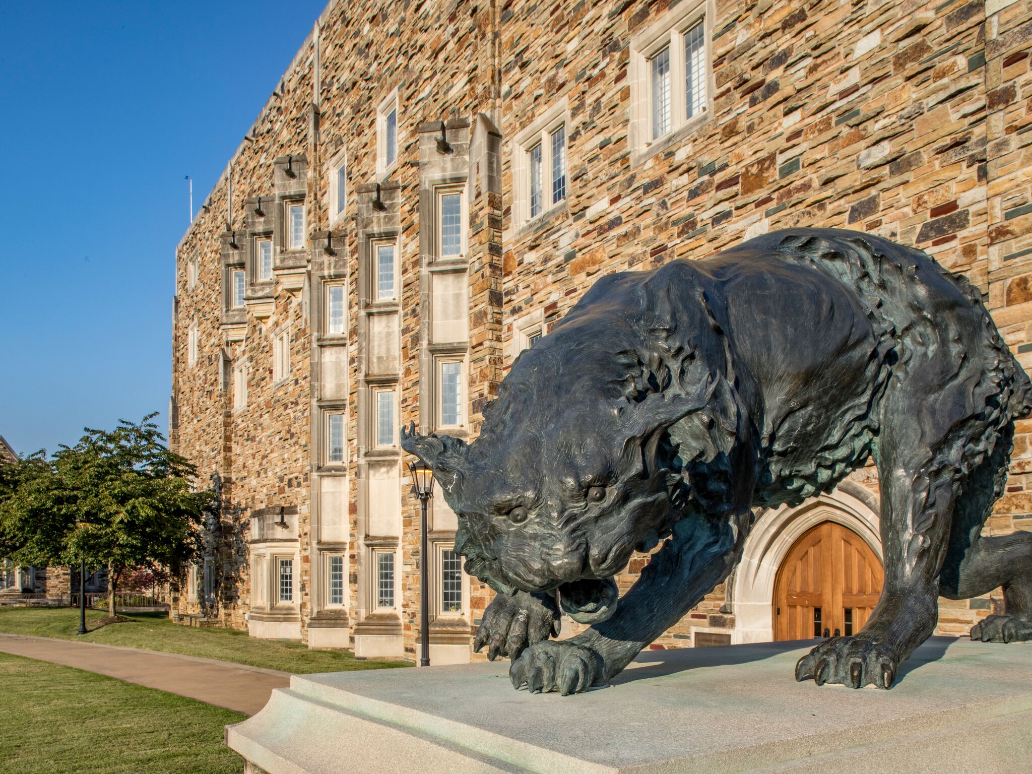 Statue of Lynx on Campus