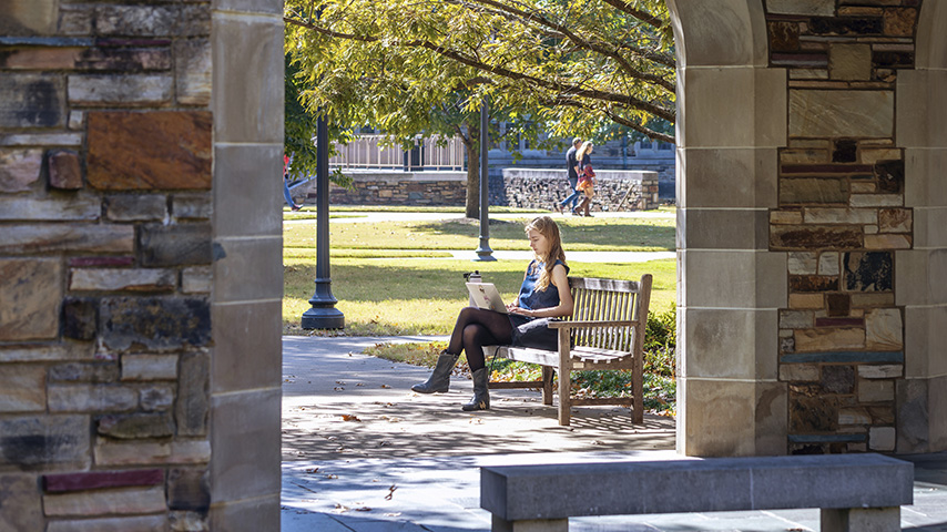a student looks at their computer 