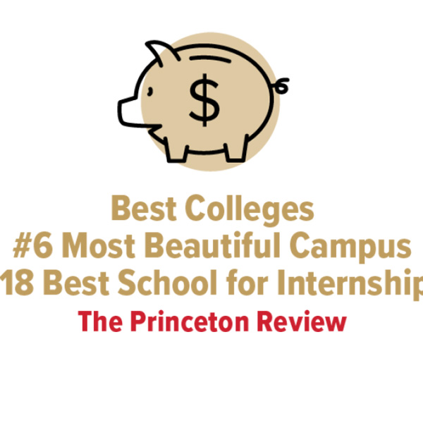 Princeton Review 2025 Best Colleges #18 Best School for internships