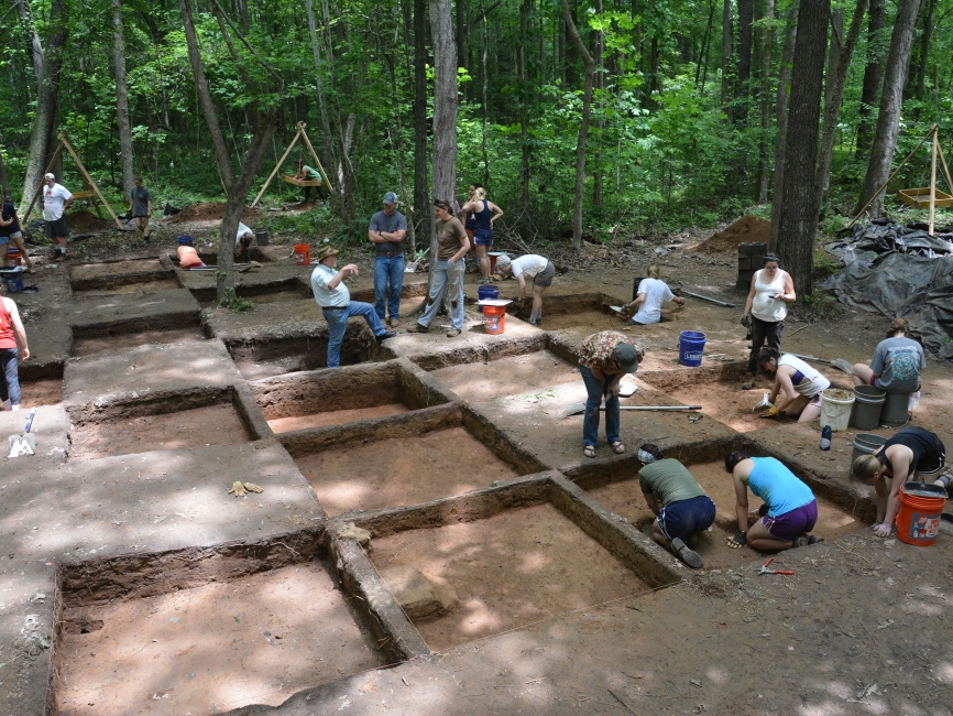 Field researchers at a dig in the forest.