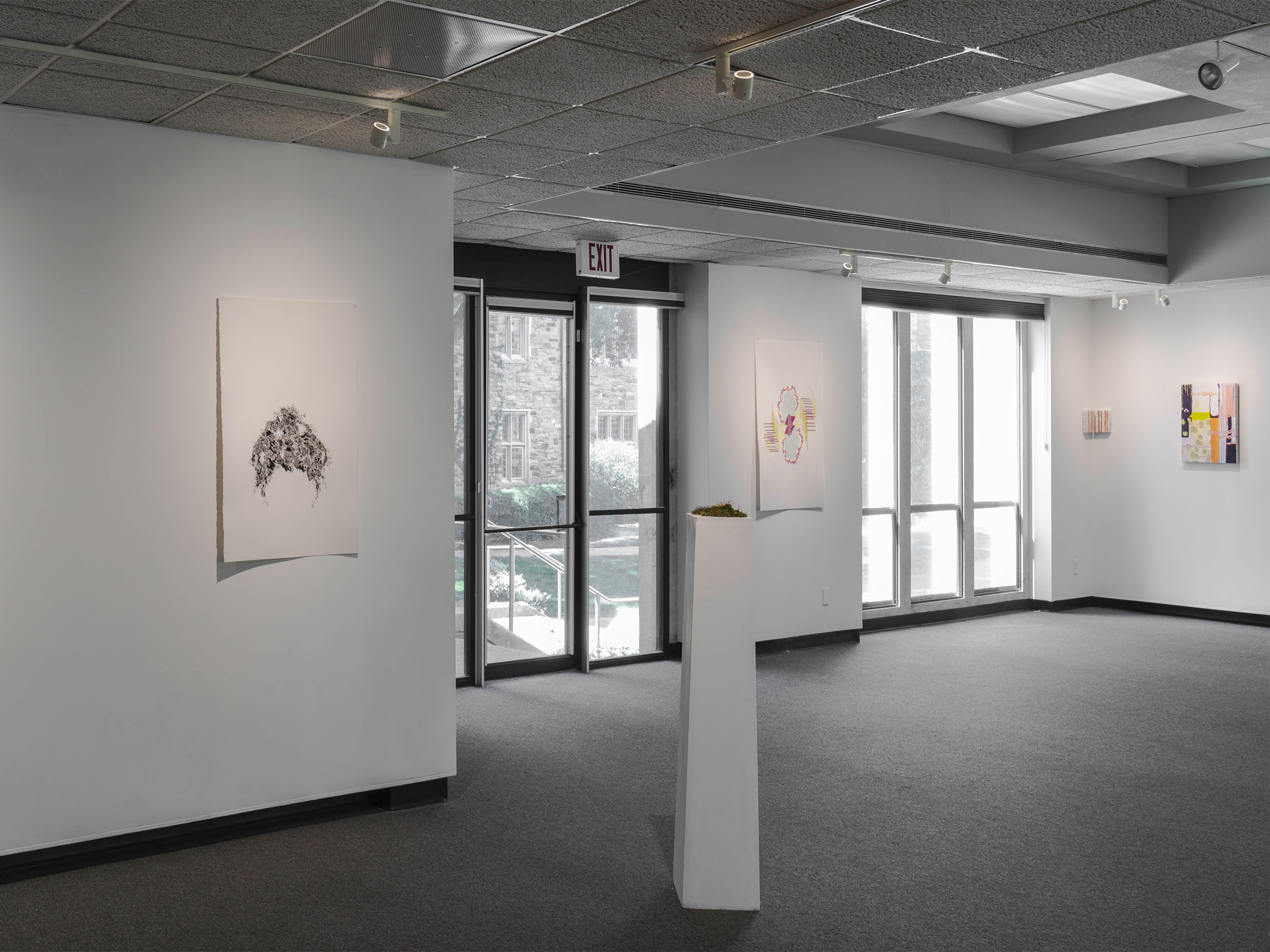 A white walled gallery.