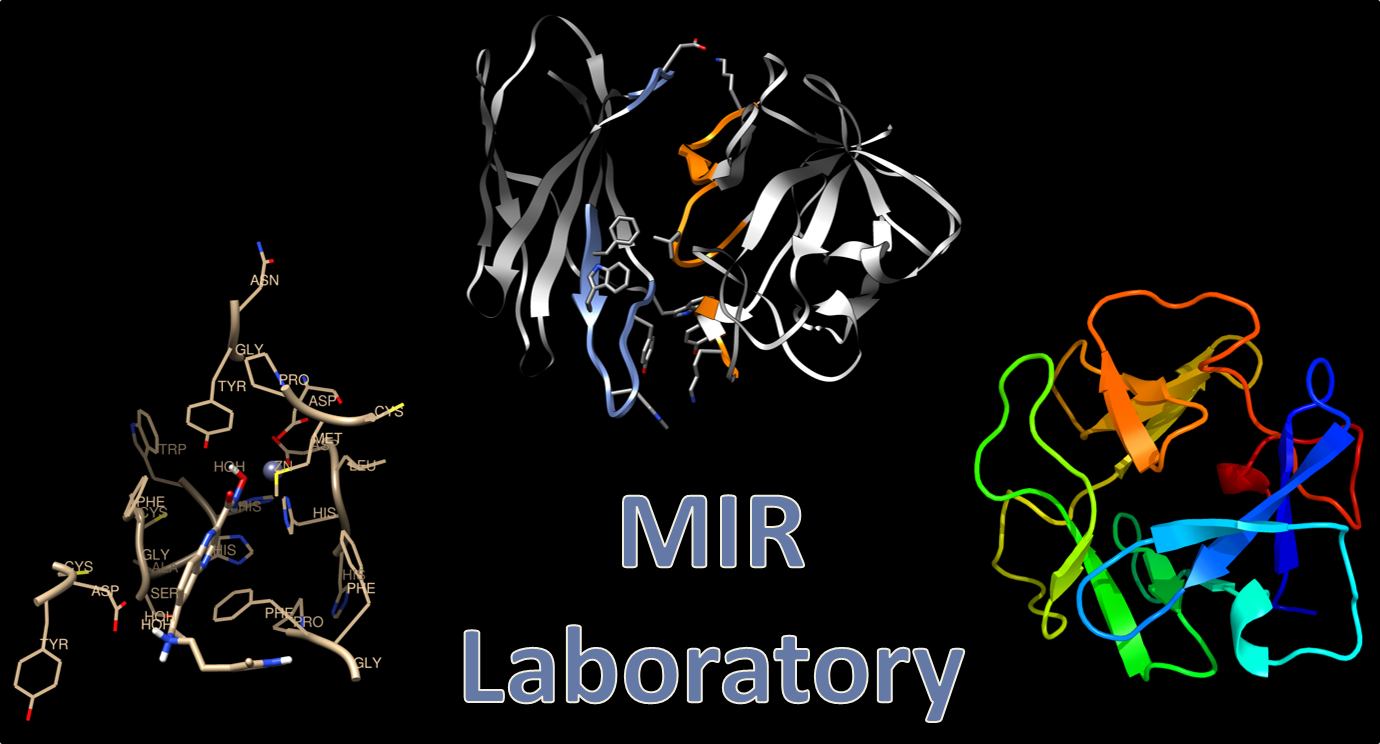 an image with the words MIR Laboratory