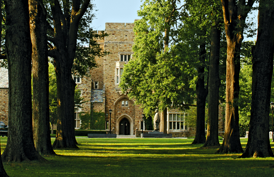 Old oak trees form a straight pathway leading into the distance towards a Rhodes building.