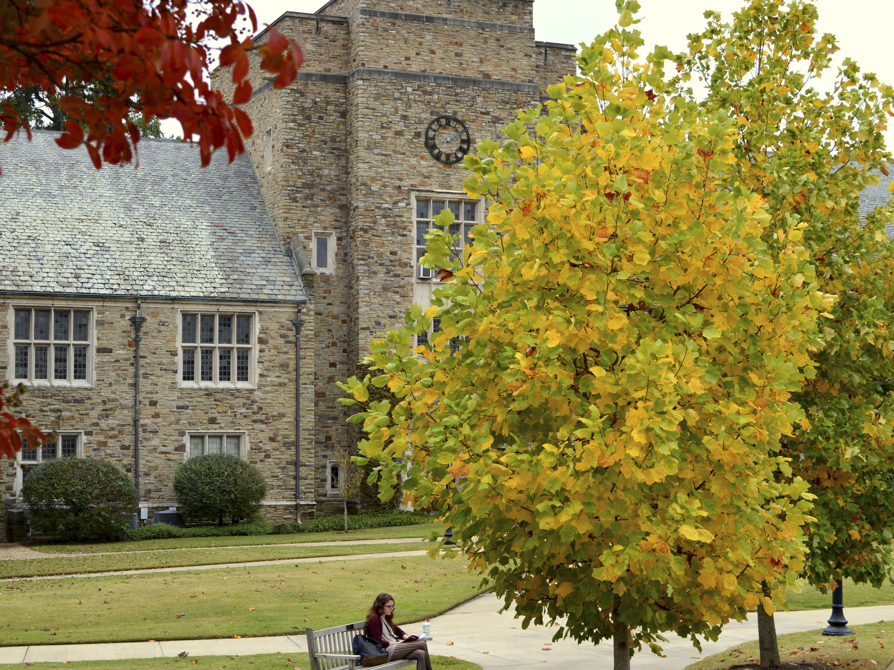 palmer hall in the fall