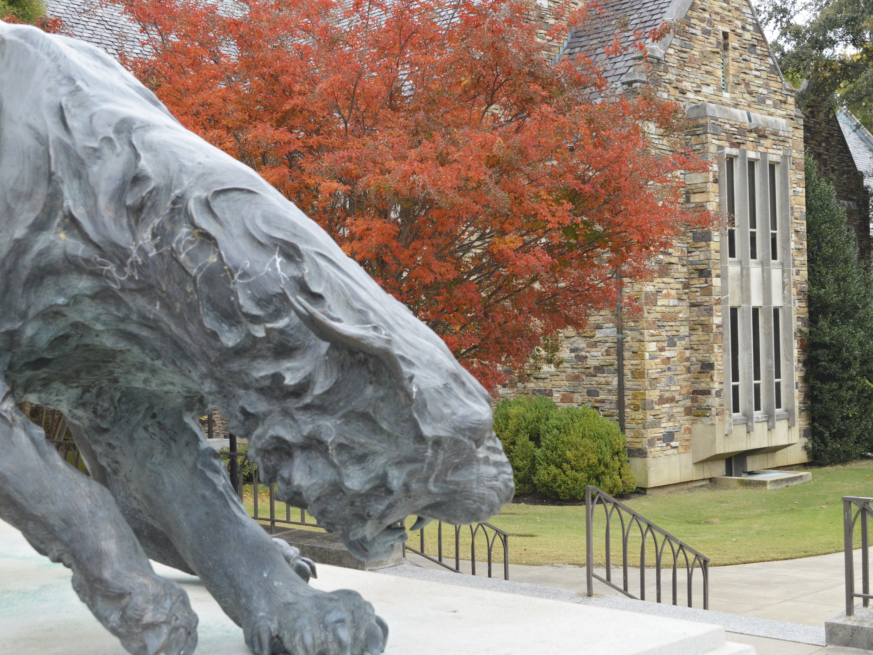 A bronze statue of a lynx.