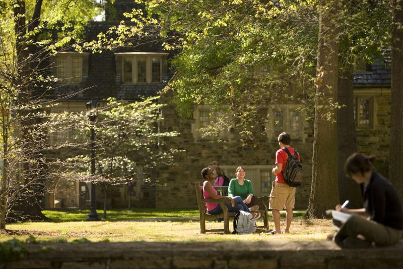 an idyllic scene of students on a bench under a canopy of trees