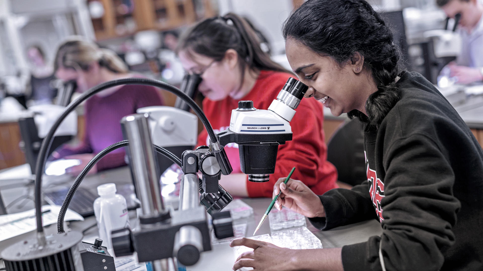 students looking through microscopes in a lab
