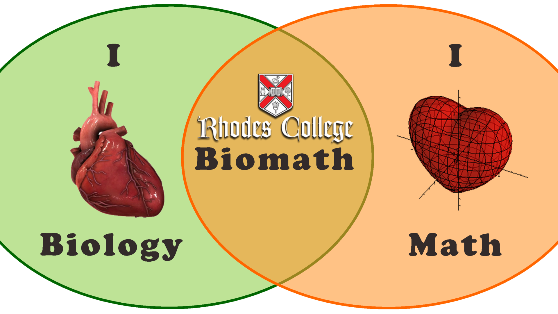 illustration of math and biology overlap
