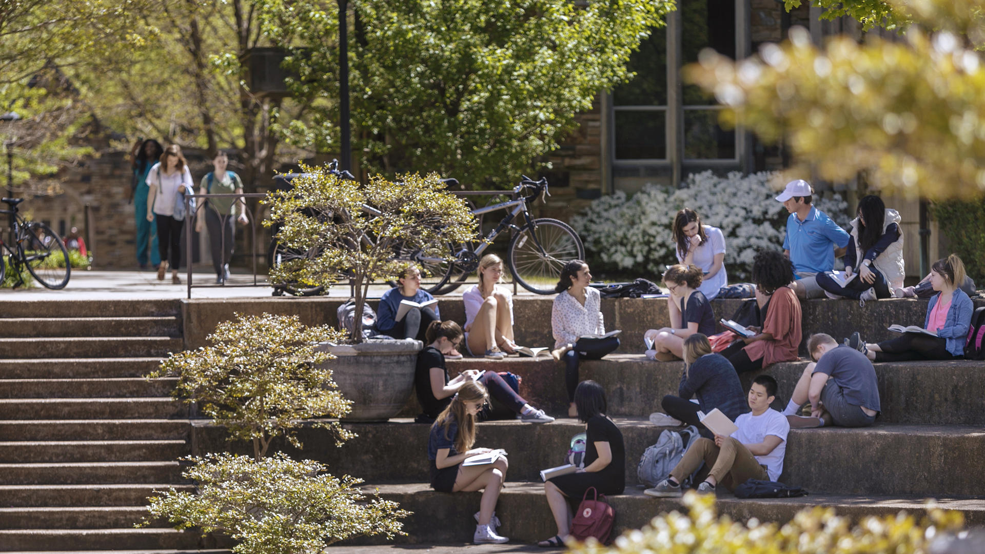 Students seated in an amphitheater on rhodes campus