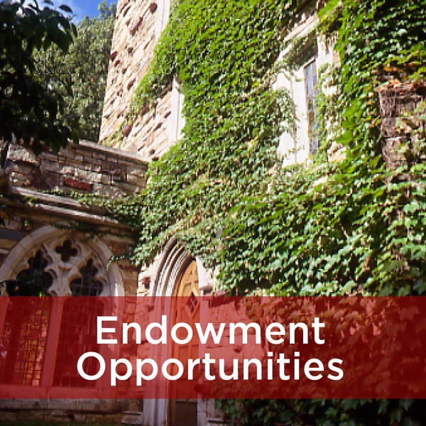 Endowment Opportunities at Rhodes College