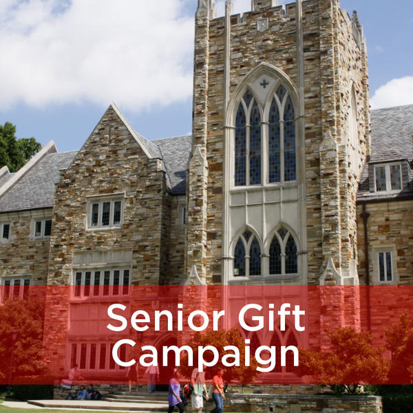 The Senior Gift Campaign at Rhodes College