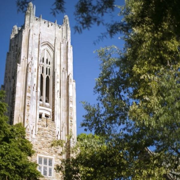 A huge collegiate gothic tower extends upward through a canopy of oak trees.