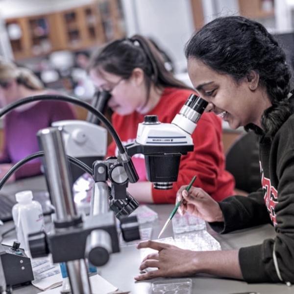 Students in a lab look through microscopes and take notes on their observations.