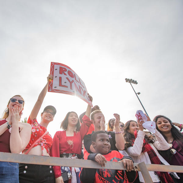 Football Fans in the Stands