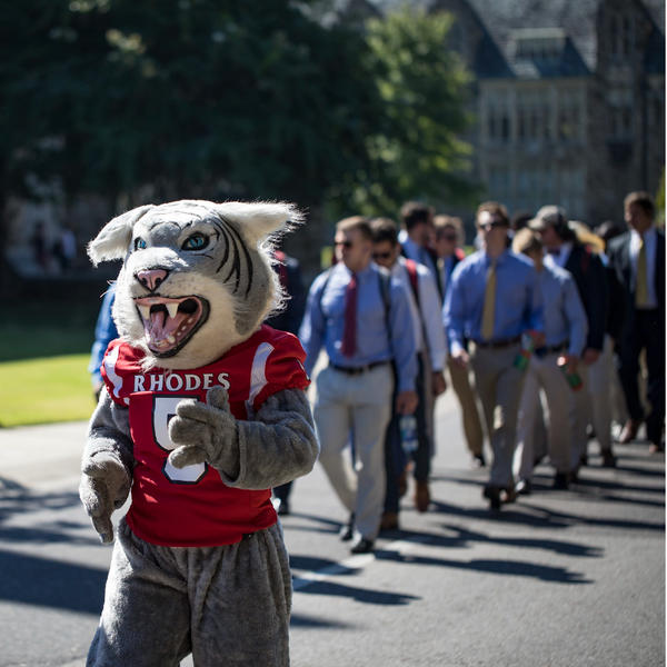 Lynx Walk