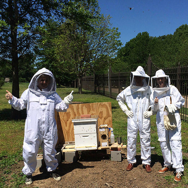 people in beekeeping suits