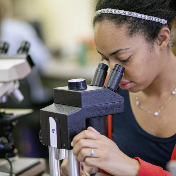 A student looks through a microscope.