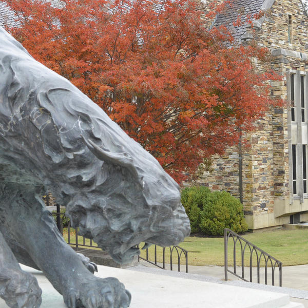 a statue of a lynx on campus