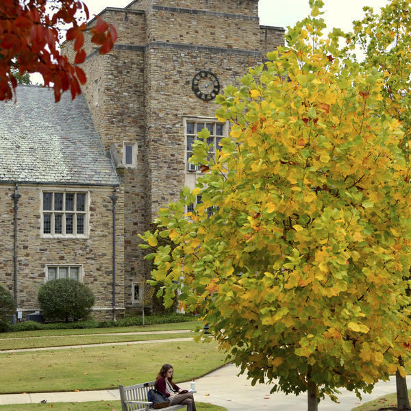 a fall scene on a Gothic campus