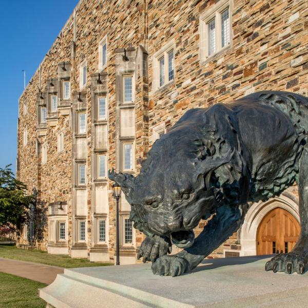 Statue of Lynx on Campus
