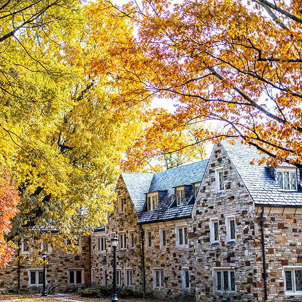 a Gothic stone building surrounded by trees