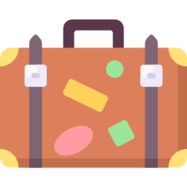 Travel Bag