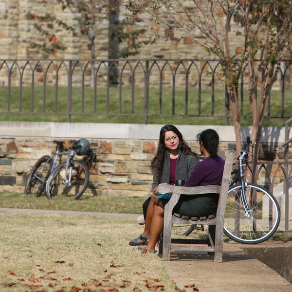 Students confer on a bench in an open quad.