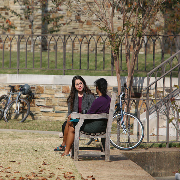 Two students talking on a bench