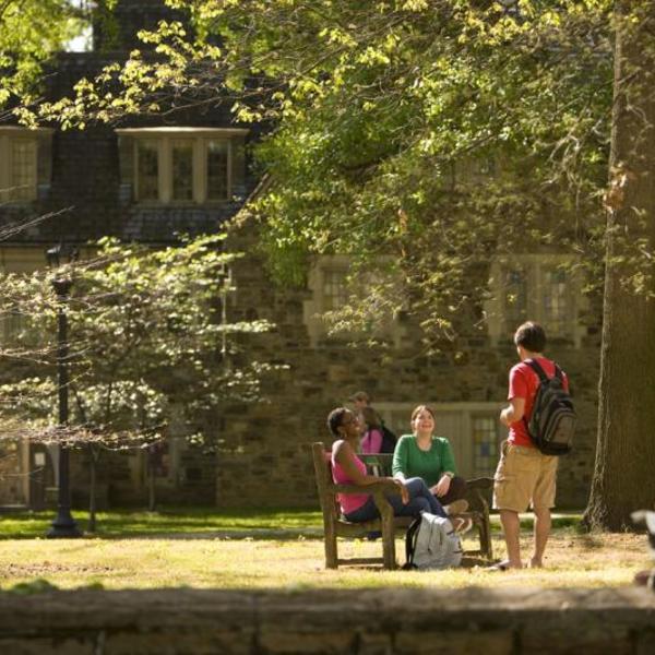 an idyllic scene of students on a bench under a canopy of trees