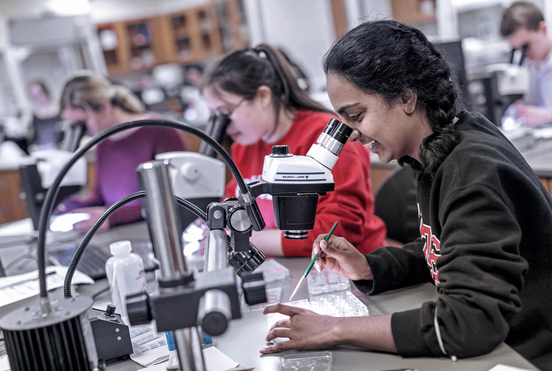 students looking through microscopes in a lab