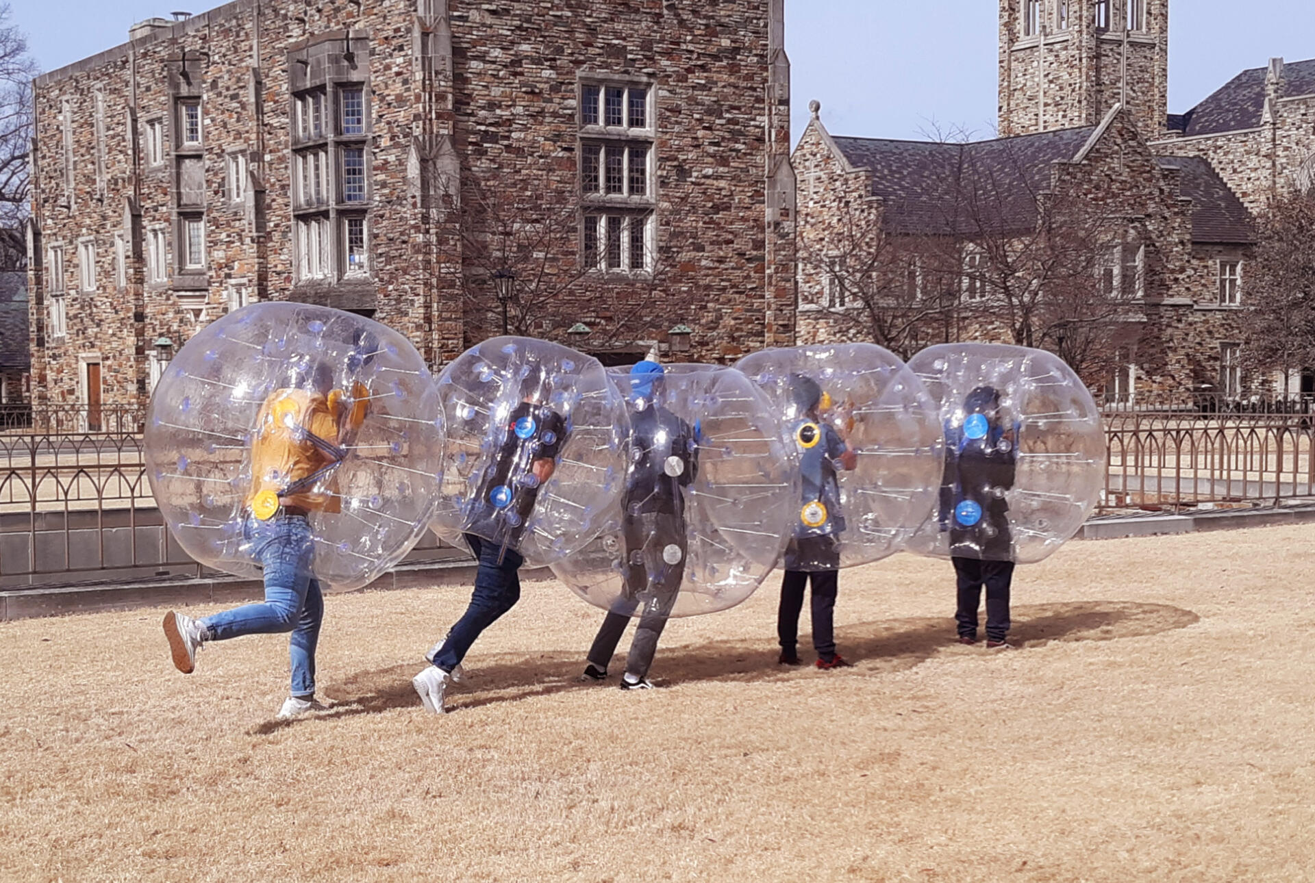 students in large plastic balls demonstrate Newton's Cradle