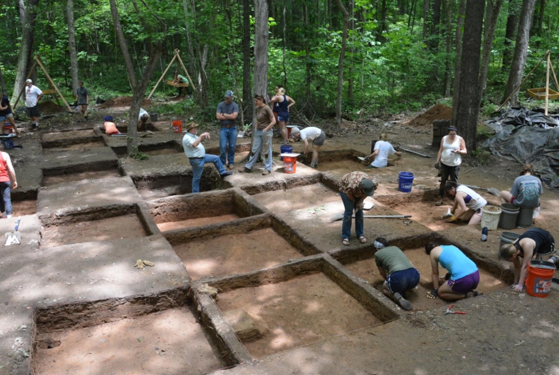 Field researchers at a dig in the forest.