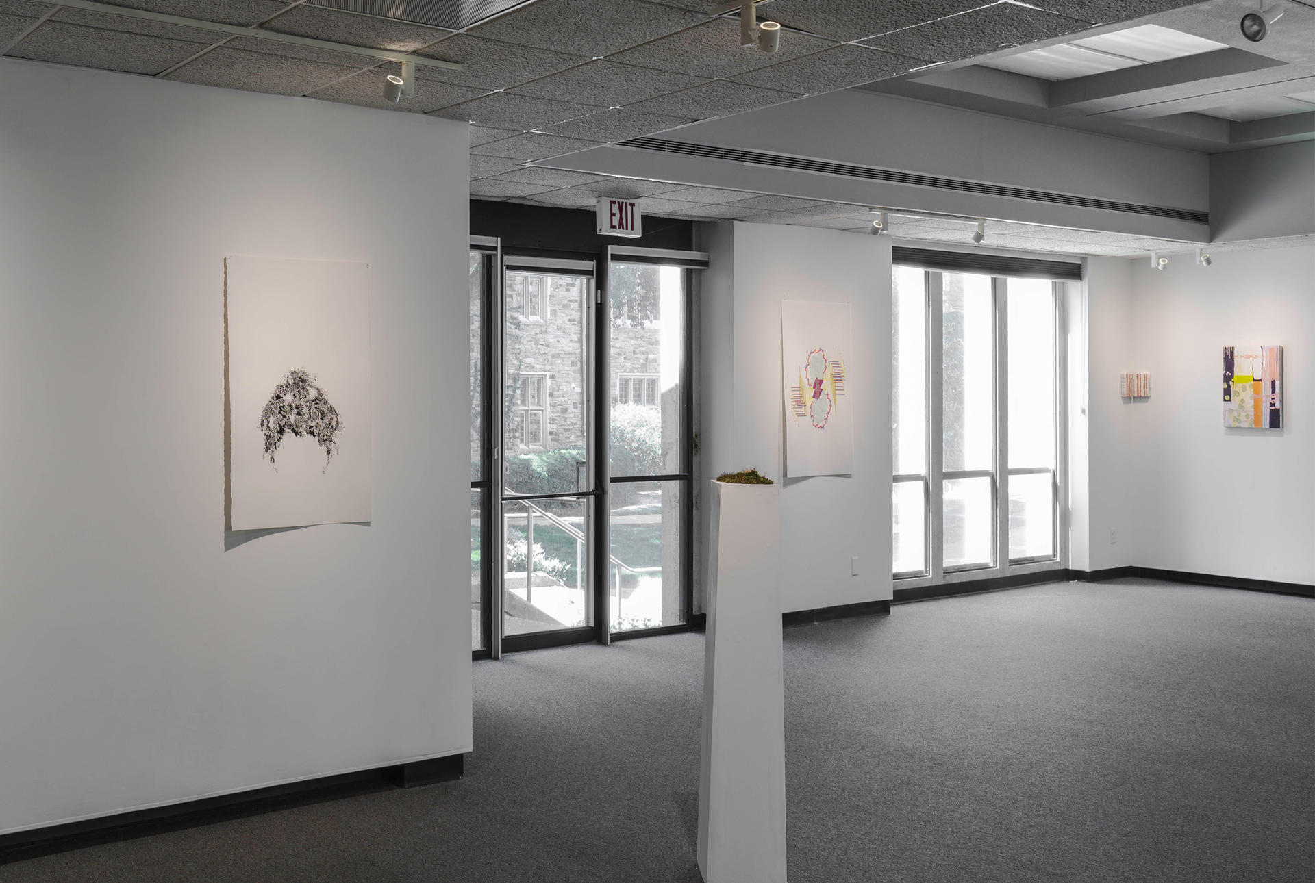 A white walled gallery.