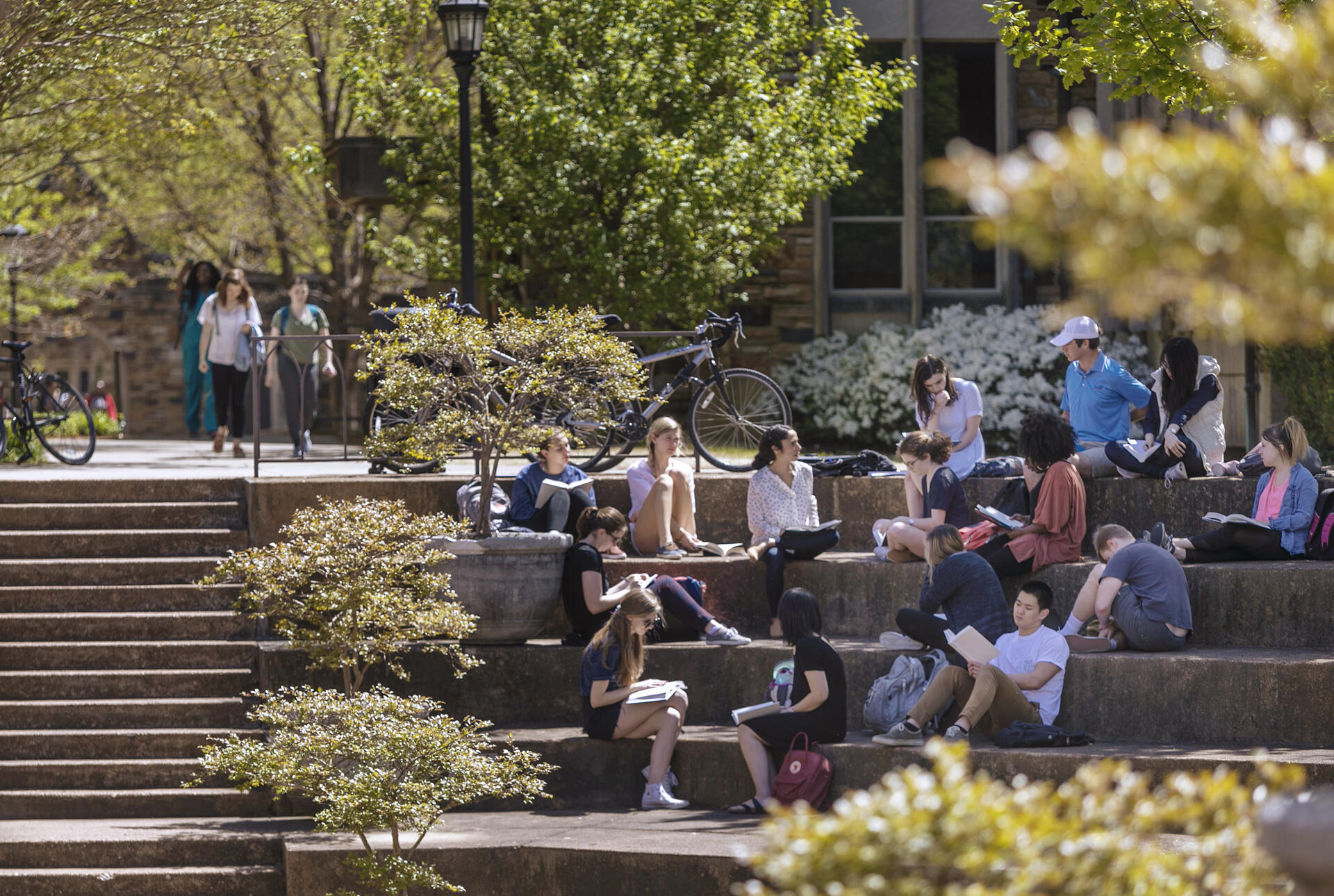 Students seated in an amphitheater on rhodes campus