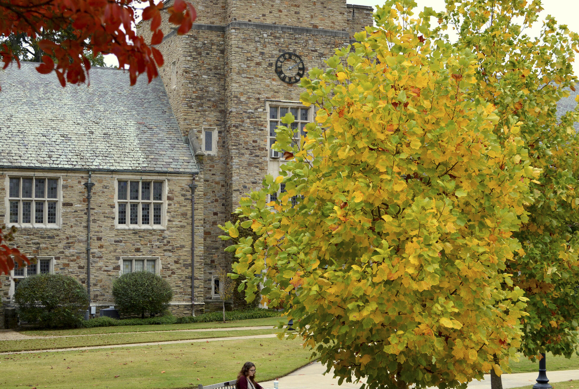 palmer hall in the fall