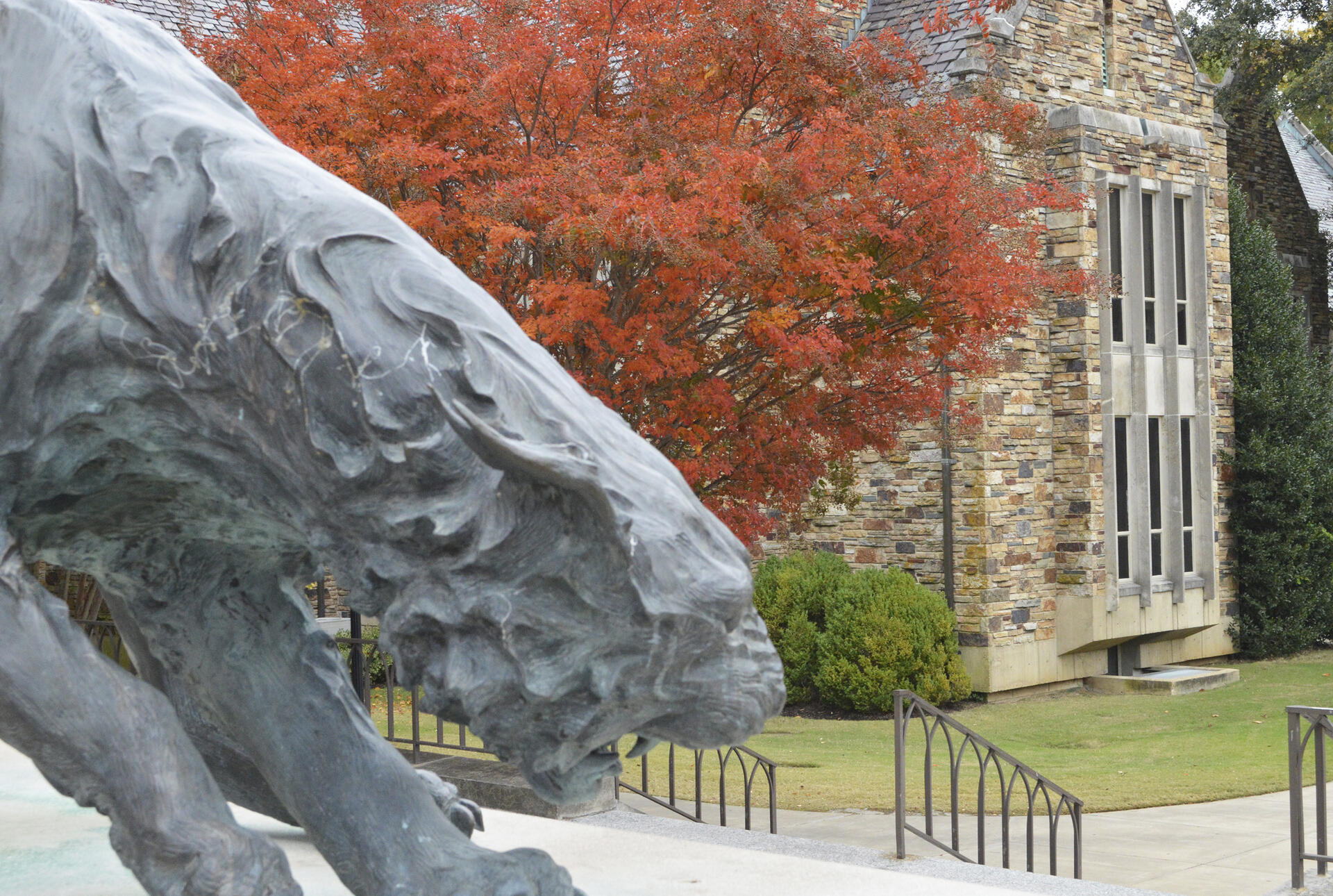 A bronze statue of a lynx.