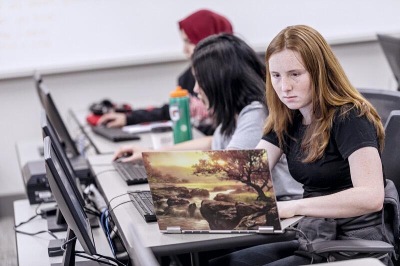 Young women sit at a table working on laptop computers.