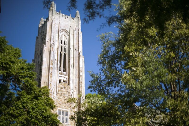 A beautiful gothic tower extends above a canopy of green oak trees